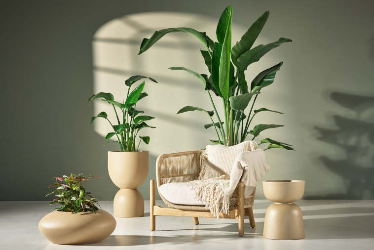 Donice cortenowe do domu i ogrodu Monumo